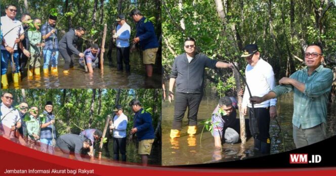
					Wakil Ketua MPR RI dan Senator Sulut Hijaukan Bunaken dengan Ratusan Pohon Mangrove